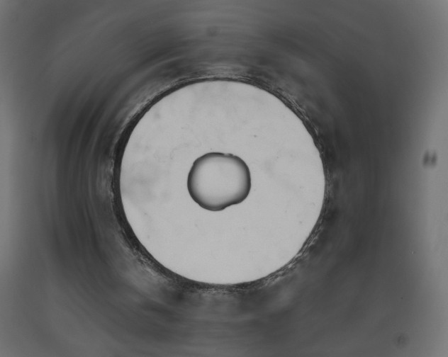 X0000093570146200710151134