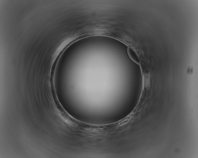 X0000093570147200710151134