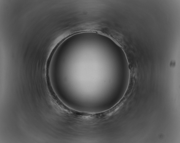 X0000093570148200710151134