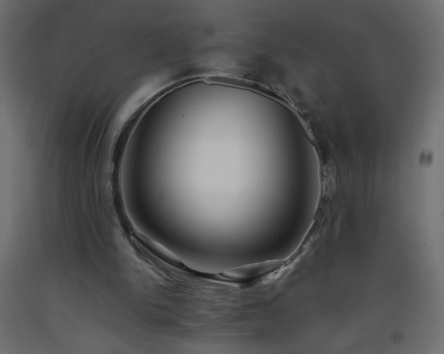 X0000093570150200710151134