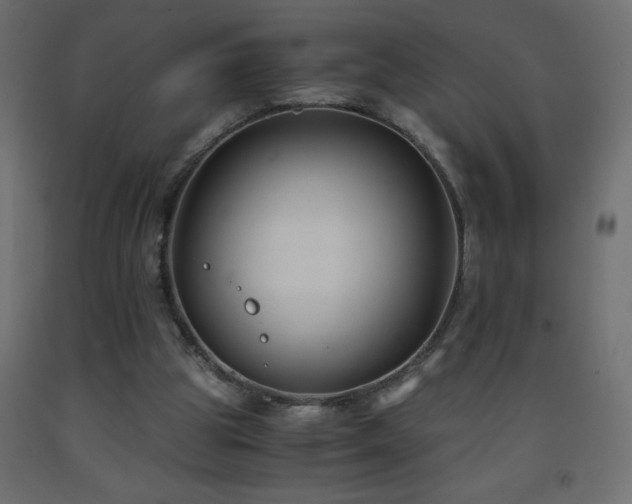 X0000093570153200710151134
