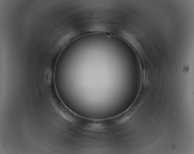 X0000093570157200710151134