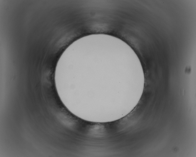 X0000093570162200710151134