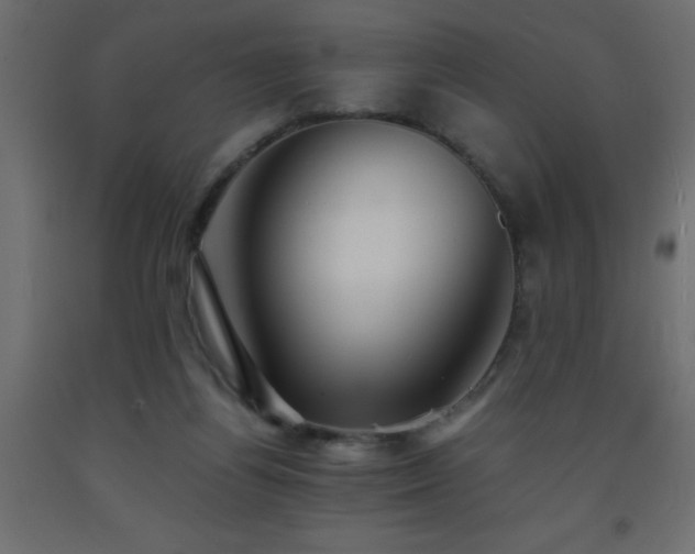 X0000093570164200710151134