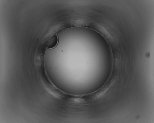X0000093570165200710151134