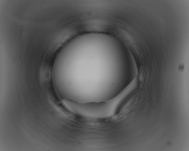 X0000093570168200710151134
