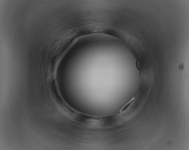 X0000093570170200710151134
