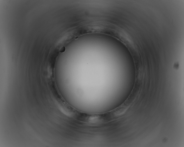 X0000093570173200710151134