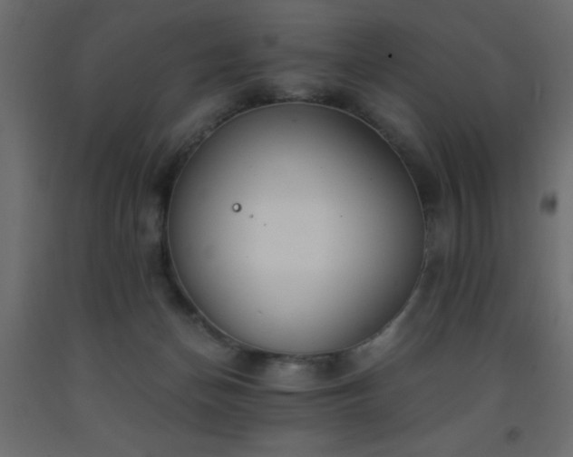 X0000093570174200710151134