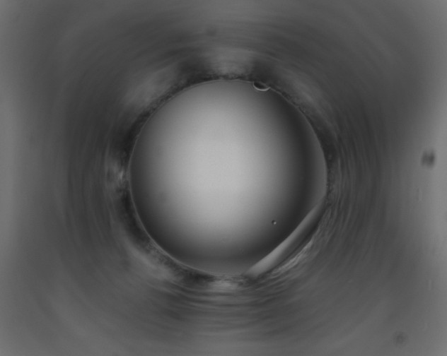 X0000093570176200710151134