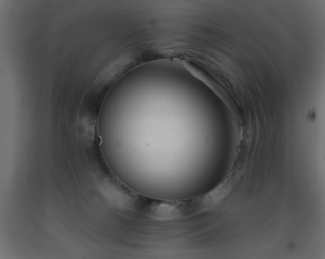 X0000093570180200710151134