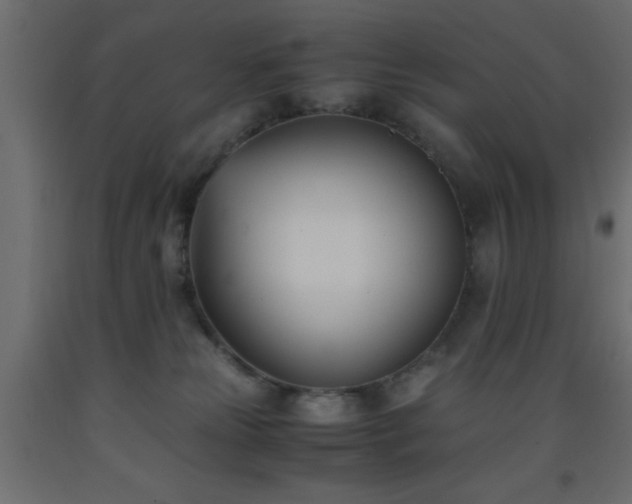 X0000093570181200710151134