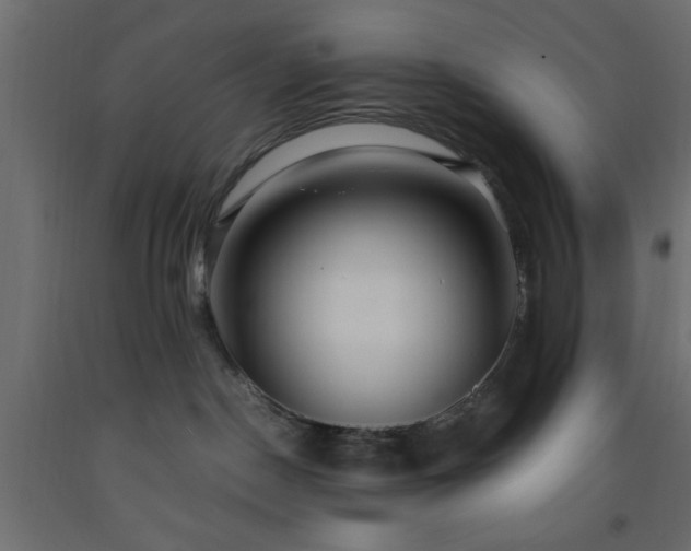 X0000093570190200710151135