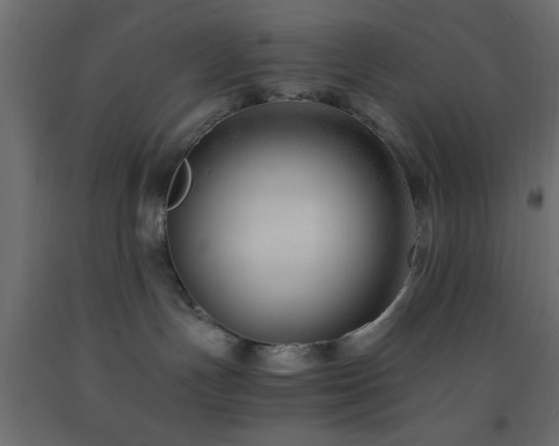 X0000093570191200710151135