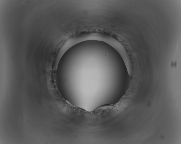 X0000093570192200710151135