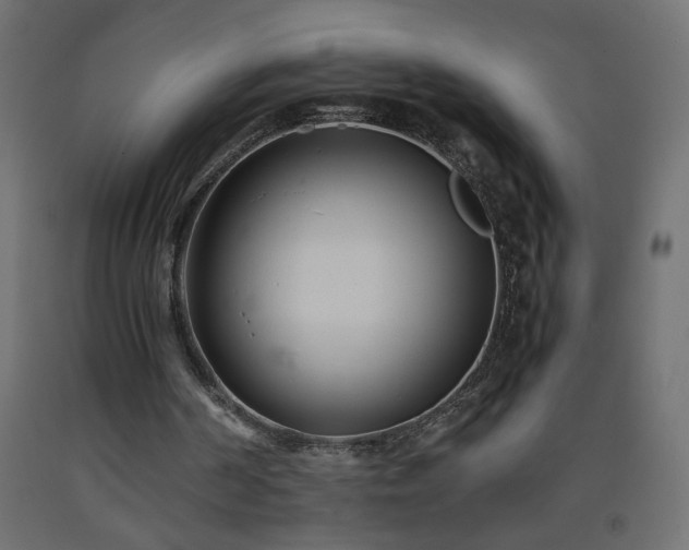 X0000093570194200710151134