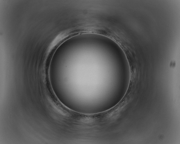 X0000093570198200710151134