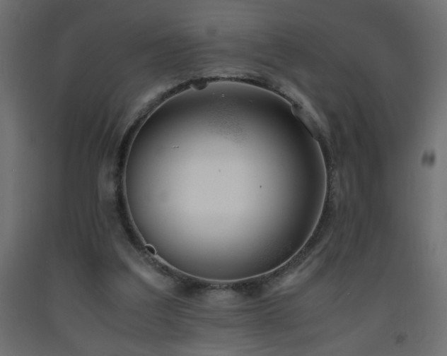 X0000093570203200710151134