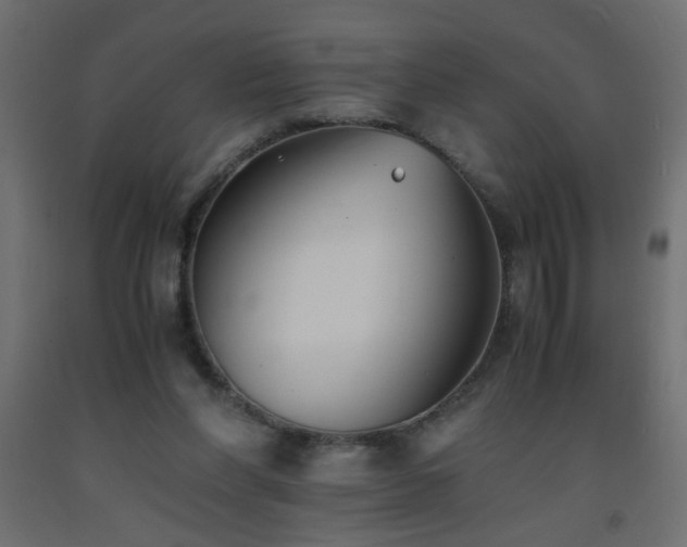 X0000093570206200710151134