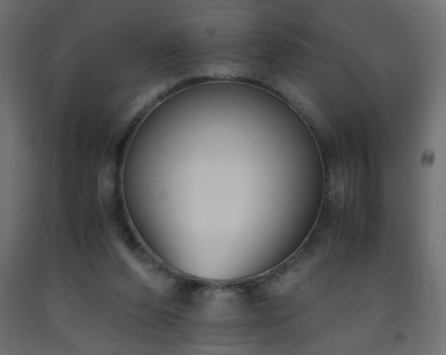 X0000093570208200710151134