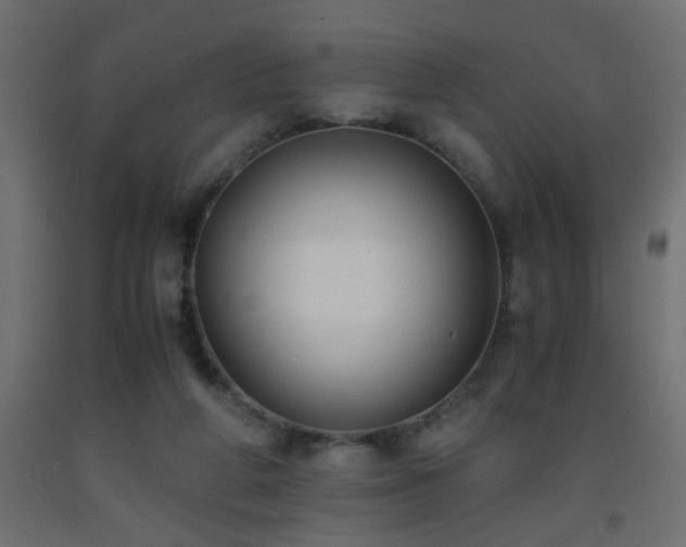X0000093570210200710151134
