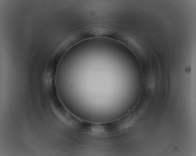 X0000093570214200710151134