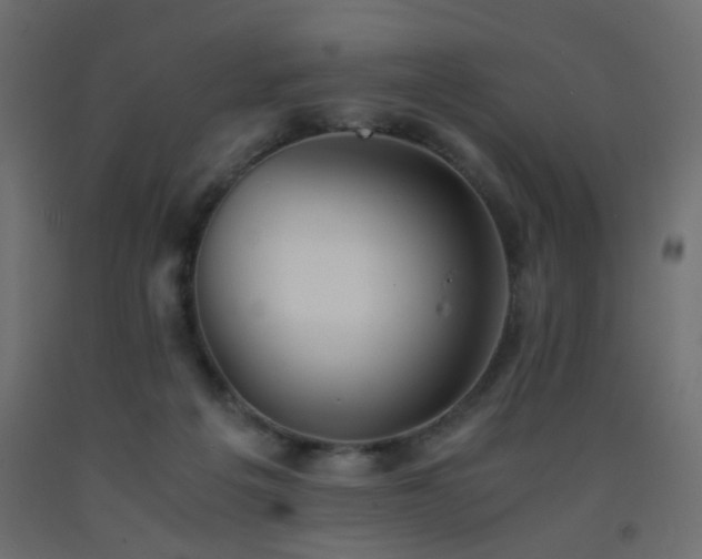 X0000093570217200710151134