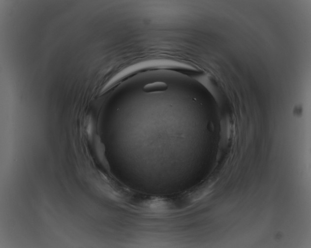 X0000093570219200710151134