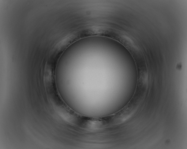 X0000093570220200710151134