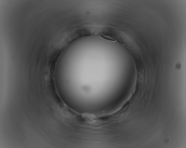 X0000093570221200710151134