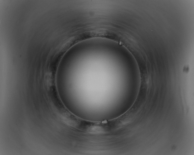 X0000093570224200710151134