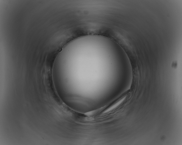 X0000093570225200710151134