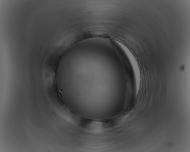 X0000093570227200710151134