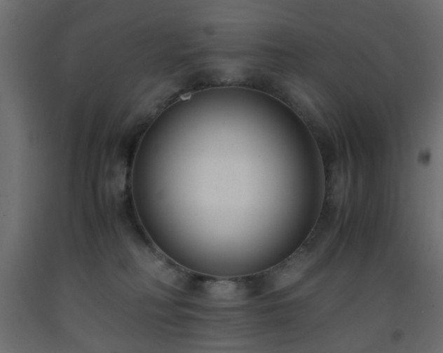 X0000093570230200710151134