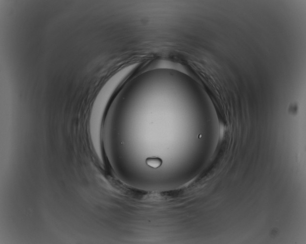 X0000093570231200710151133