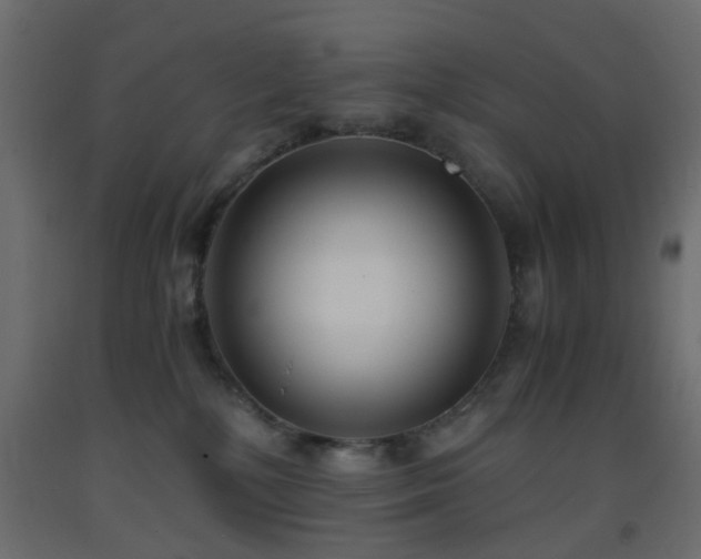 X0000093570232200710151133