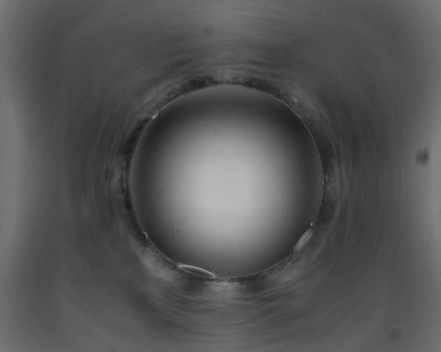 X0000093570233200710151133