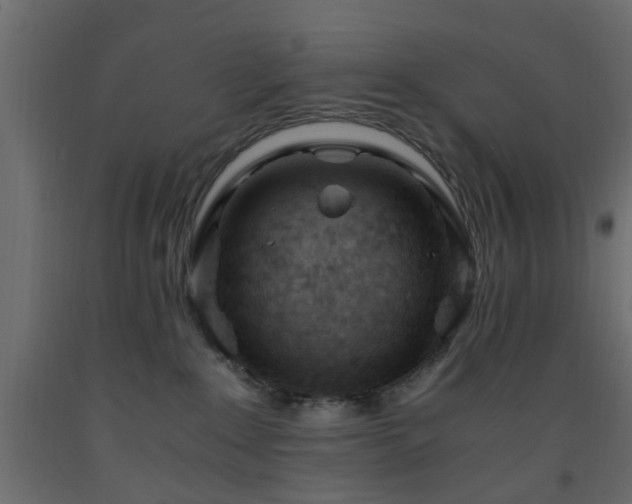 X0000093570235200710151133