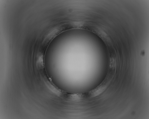 X0000093570238200710151133