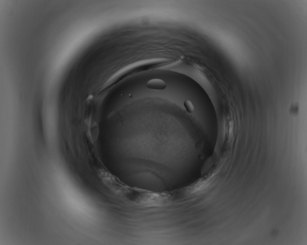X0000093570239200710151133