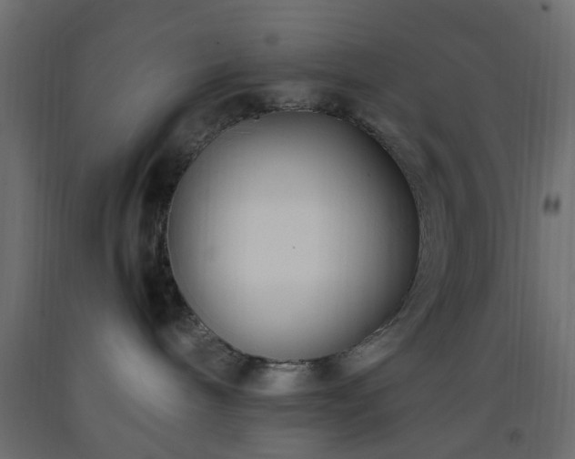X0000093570240200710151133