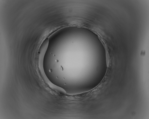 X0000093570241200710151133