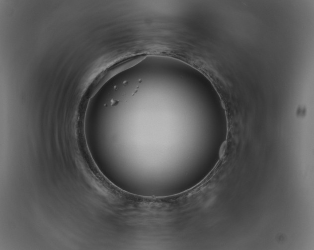 X0000093570242200710151133