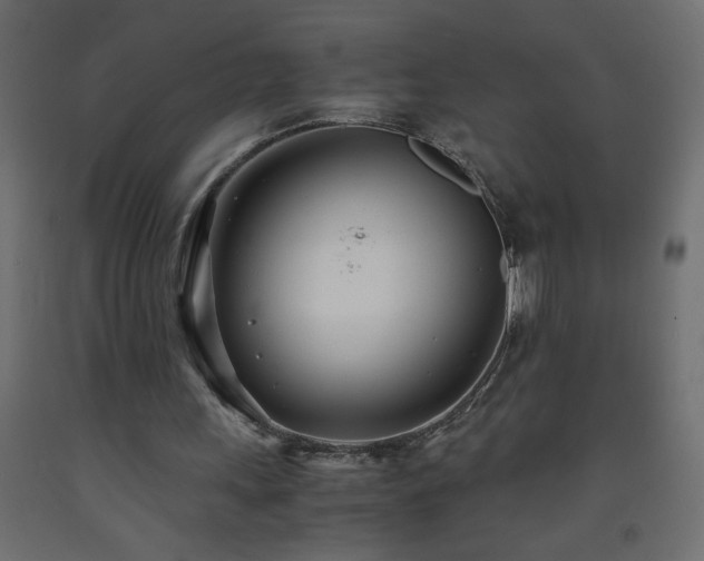 X0000093570243200710151133
