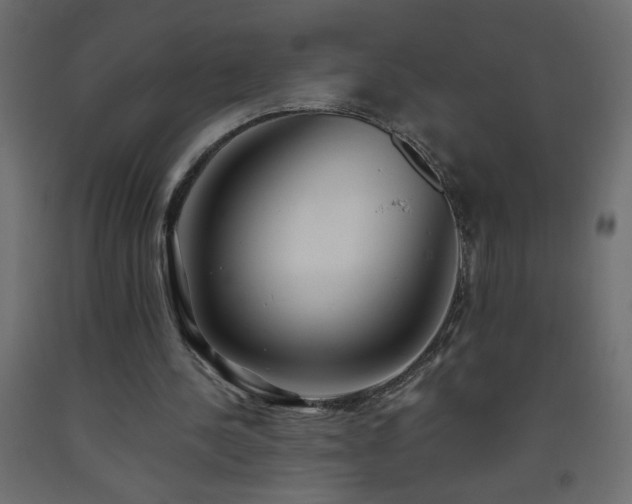X0000093570244200710151133