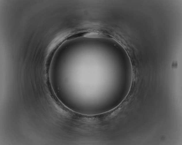 X0000093570245200710151133