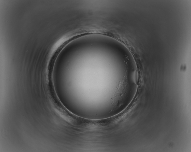 X0000093570246200710151133