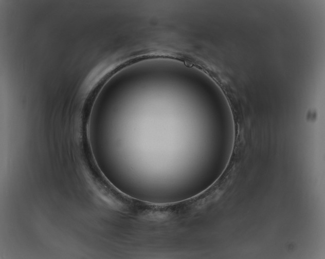X0000093570247200710151133