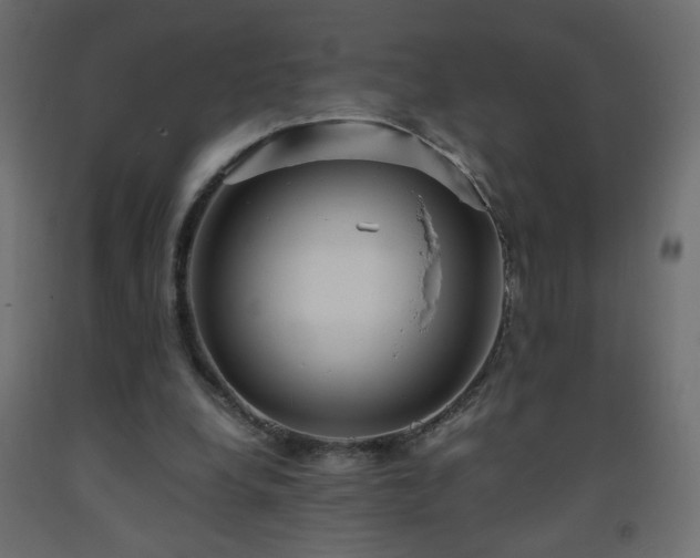 X0000093570248200710151133