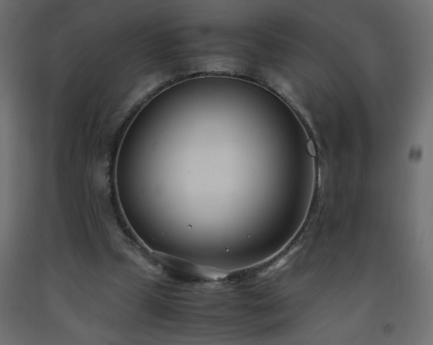 X0000093570249200710151133